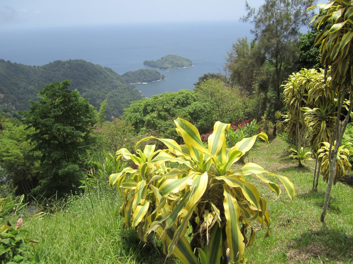 Mahogany Ridge Arouca Bagian luar foto