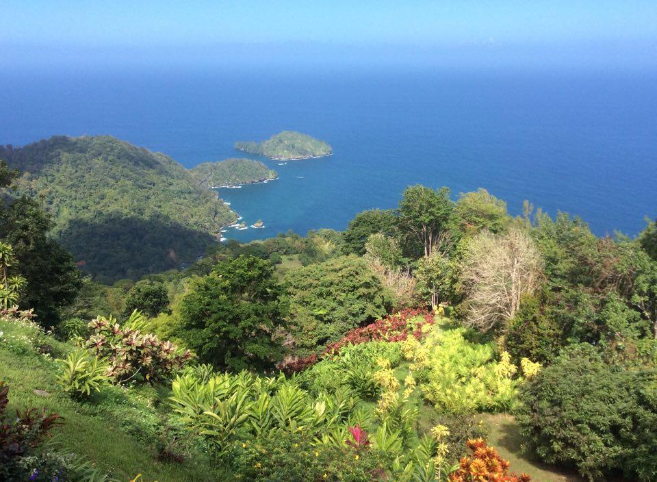 Mahogany Ridge Arouca Bagian luar foto