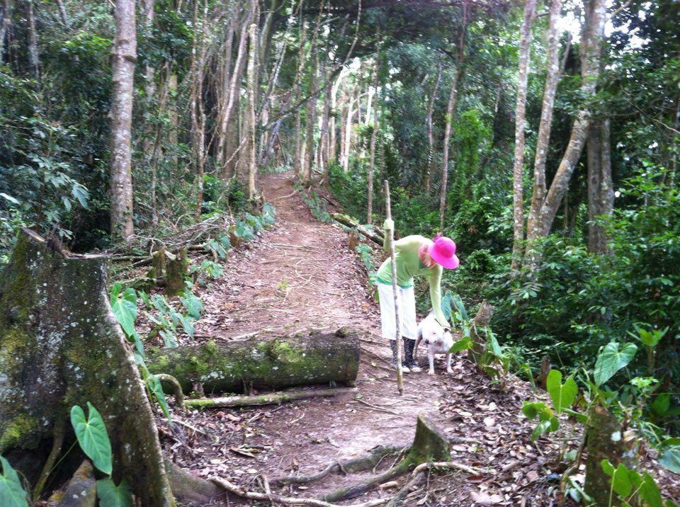 Mahogany Ridge Arouca Bagian luar foto